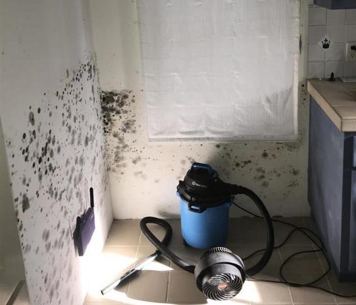 White corner of kitchen wall with mold growth about 3 feet high. Blue HEPA Filtered Negative Air Machine on the floor working